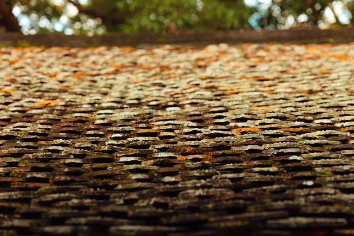 Roof Leak Repair in Tallahassee, FL